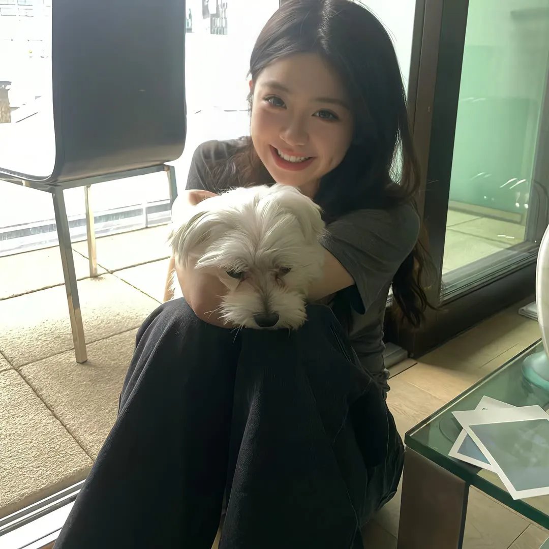 万紫千红花弄蝶